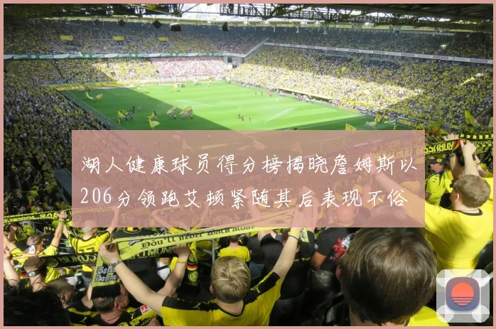 湖人健康球员得分榜揭晓詹姆斯以206分领跑艾顿紧随其后表现不俗