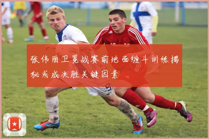 张伟丽卫冕战赛前地面缠斗训练揭秘或成决胜关键因素